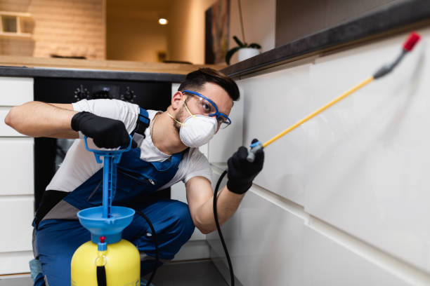 Best Best Pest Control Companies  in Willows, CA