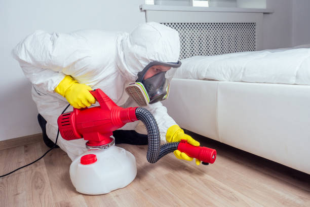 Best Wildlife Control Services  in Willows, CA