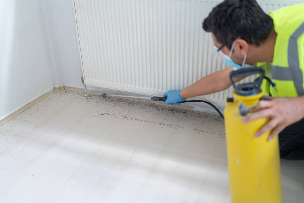 Best Pest Inspection Near Me  in Willows, CA
